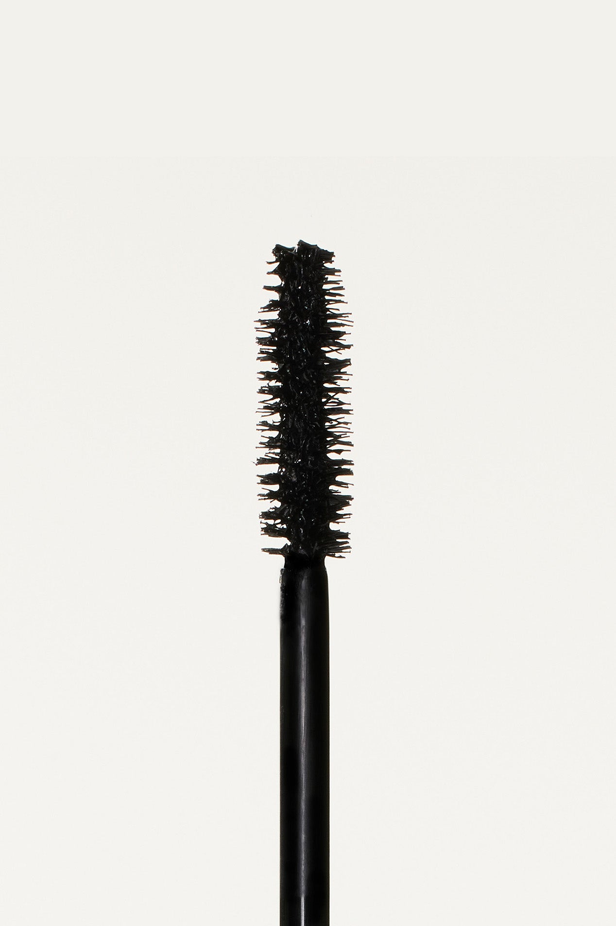 Brush.jpg