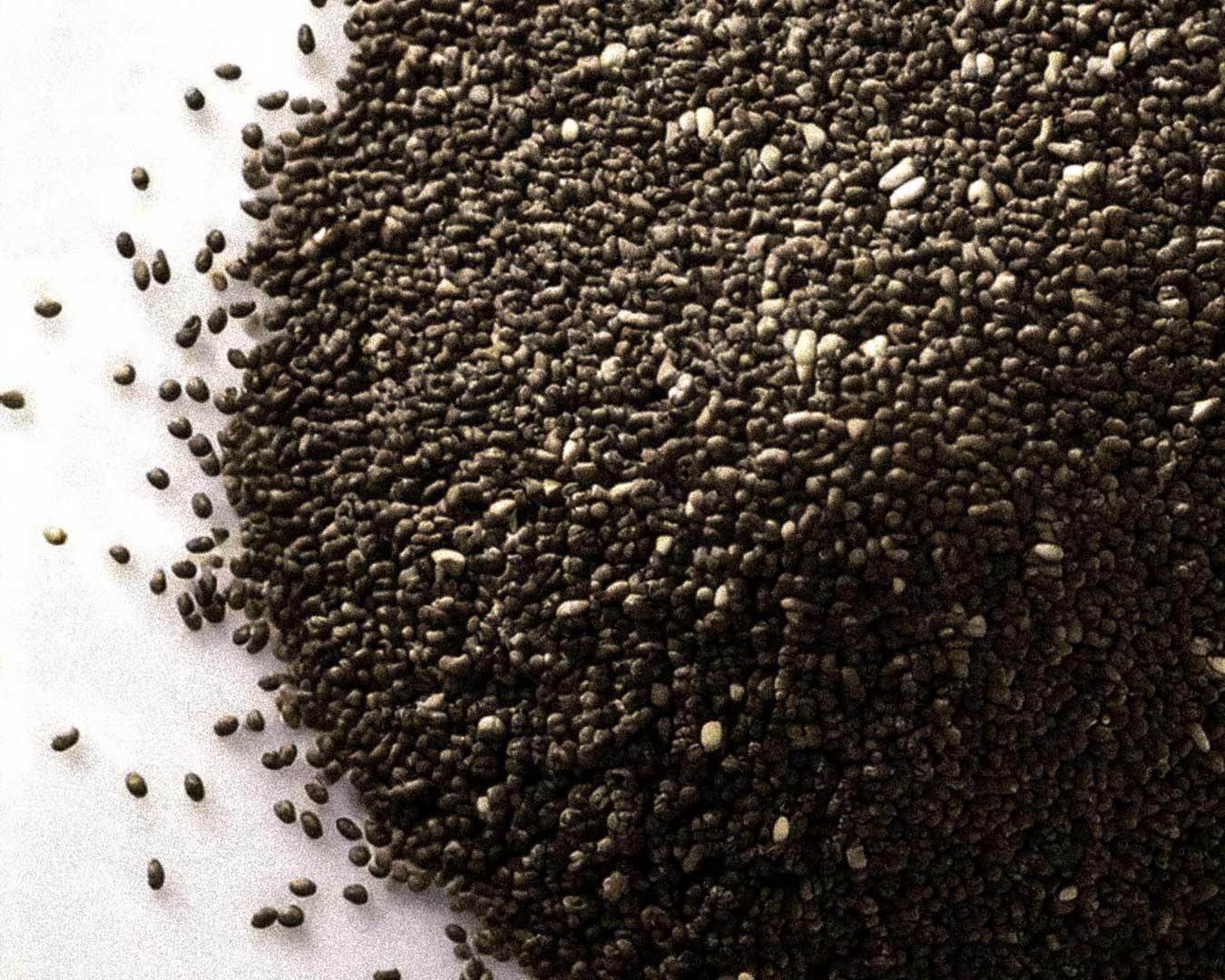 Chia Seed Extract