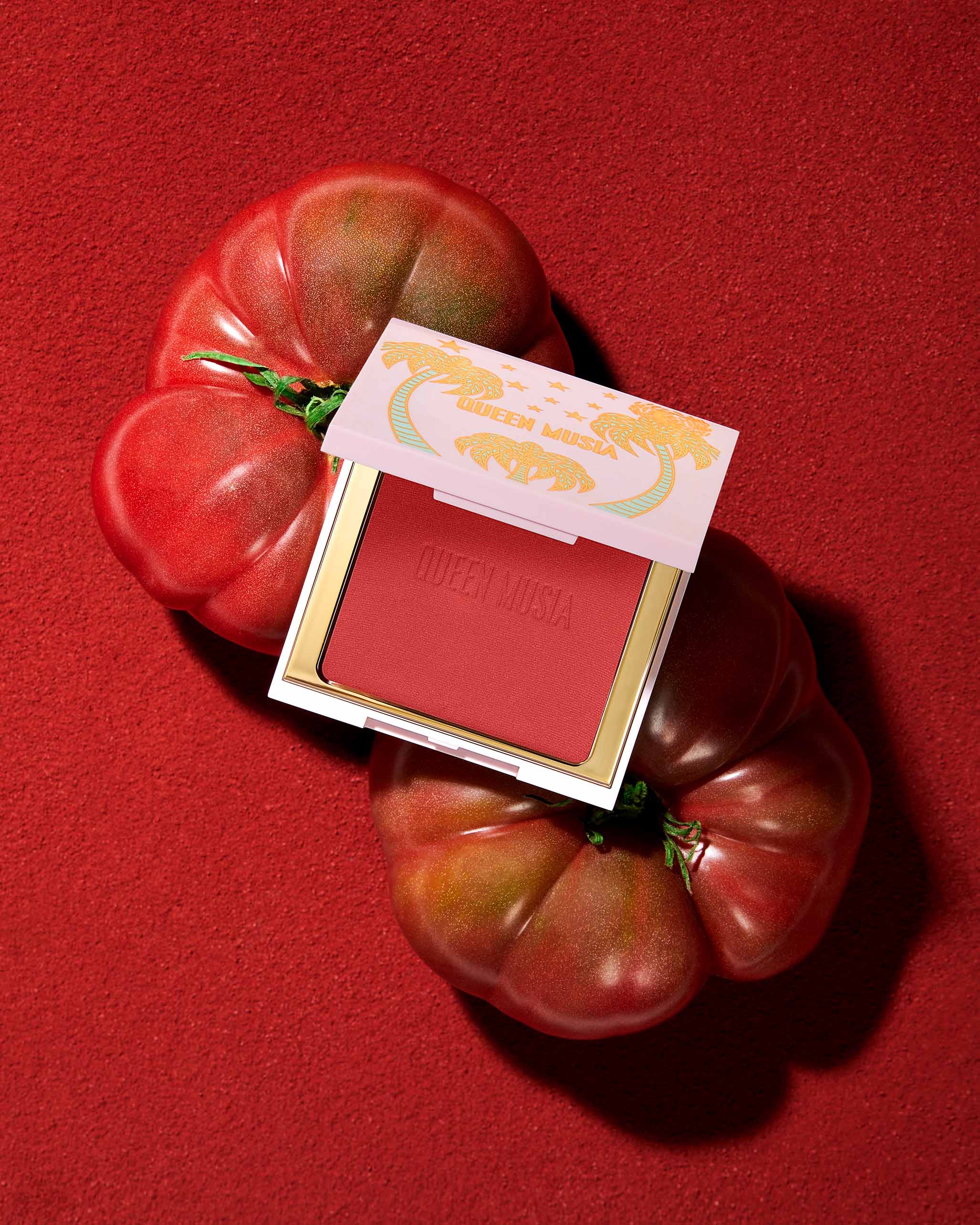 Plaisir Nostalgique Hybrid Blush - QUEEN MUSIA